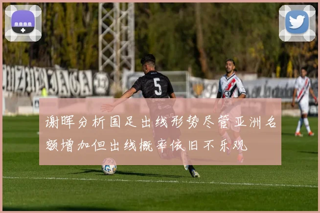 谢晖分析国足出线形势尽管亚洲名额增加但出线概率依旧不乐观