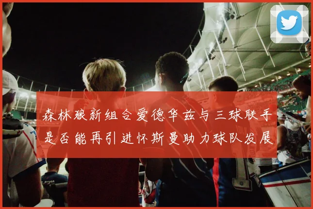 森林狼新组合爱德华兹与三球联手是否能再引进怀斯曼助力球队发展